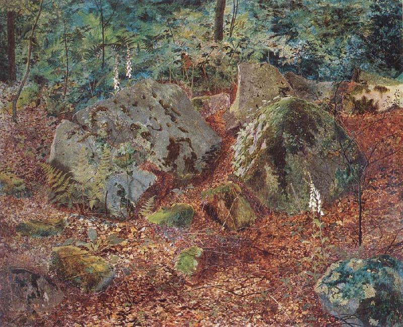 Atkinson Grimshaw A Mossy Glen